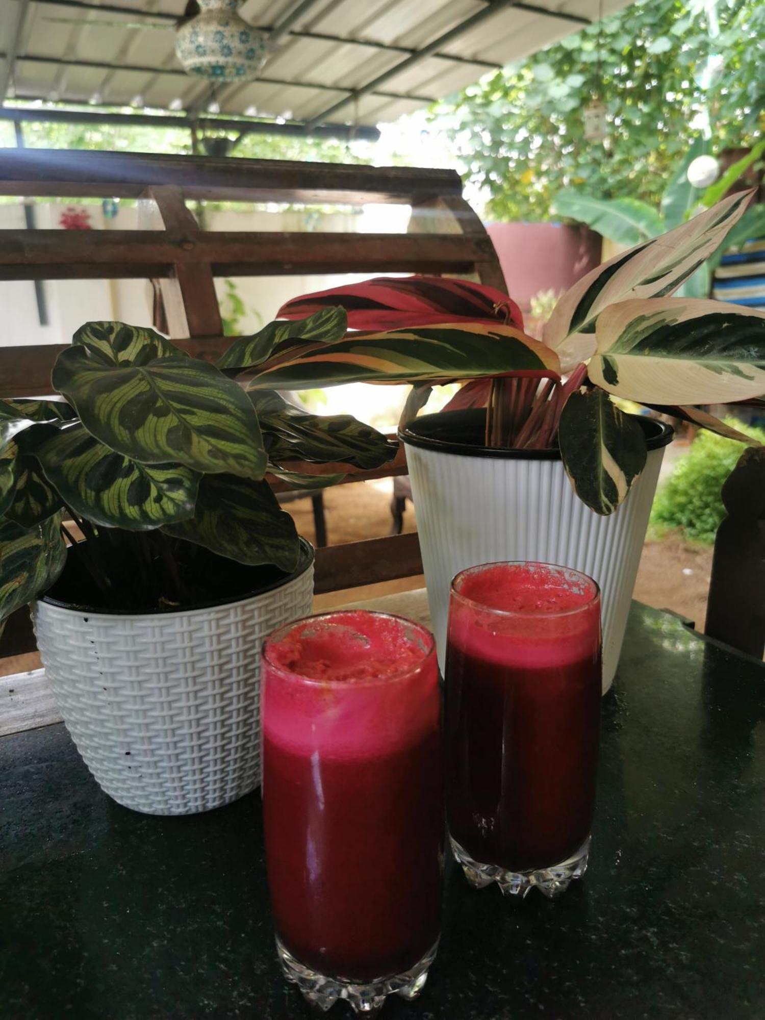 Jeehaa Homestay Alappuzha Εξωτερικό φωτογραφία