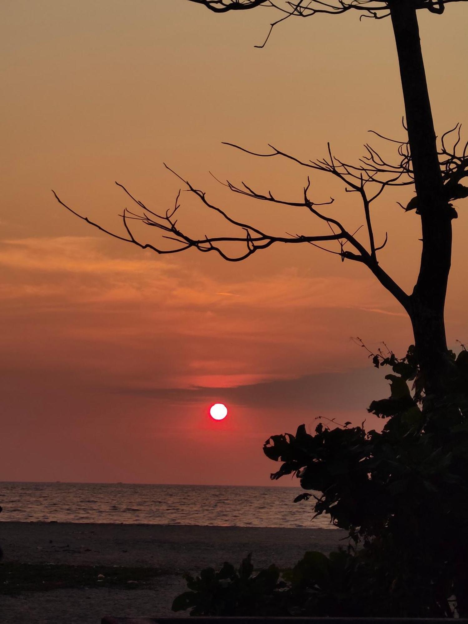 Jeehaa Homestay Alappuzha Εξωτερικό φωτογραφία